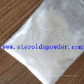 Steroids Hormone 4-Chlorotestosterone Acetate/Megagrisevit Powders/Clostebol Acetate Powder/CAS No: 855-19-6